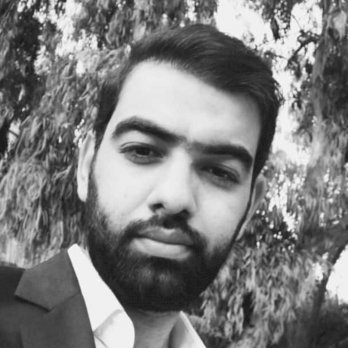 محمد الحديدي