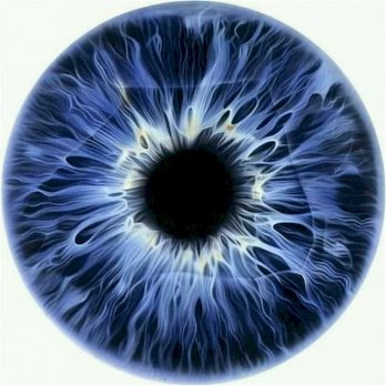 أميرة حجازي