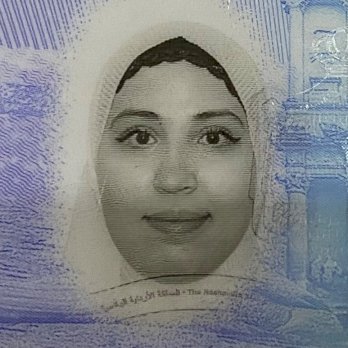 مفيدة قفيشة