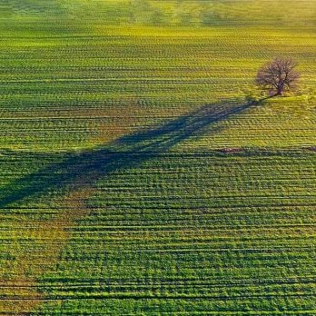 عبدالرحمن طبنجة