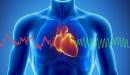 صورة مقال معلومات عن قلب الإنسان