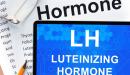 صورة مقال ارتفاع هرمون LH