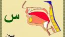 صورة مقال صفات الحروف ومخارجها