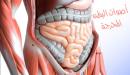 صورة مقال ما سبب اصوات البطن