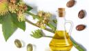 صورة مقال ما هو زيت الخروع