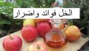صورة مقال فوائد وأضرار الخل للشعر