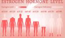 صورة مقال تحليل هرمون الإستروجين