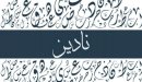 صورة مقال معنى اسم نادين