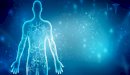صورة مقال هل تعلم عن جسم الإنسان