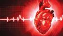 صورة مقال ما أسباب زيادة دقات القلب