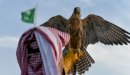 صورة مقال أنواع الصقور في السعودية