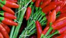 صورة مقال كيفية زراعة الفلفل الحار
