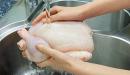 صورة مقال طريقة غسل الدجاج