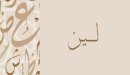 صورة مقال معنى اسم لين