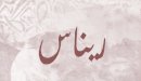 صورة مقال معنى اسم ريناس