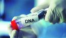 صورة مقال ما هو تحليل DNA