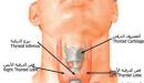 صورة مقال ما هي أعراض الغدة النخامية