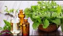 صورة مقال فوائد زيت النعناع للشعر