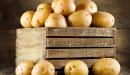 صورة مقال طرق تخزين البطاطس