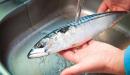 صورة مقال طريقة غسل السمك
