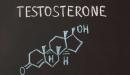 صورة مقال كيف أحصل على هرمون التستوستيرون