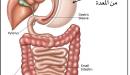 صورة مقال أضرار عملية تحويل مسار المعدة