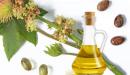 صورة مقال فوائد زيت الخروع للبشرة الدهنية