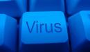 صورة مقال أنواع الفيروسات في الحاسوب