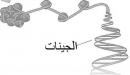 صورة مقال ما هو الجين