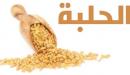صورة مقال فوائد زيت الحلبة للتسمين
