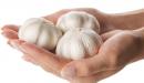 صورة مقال فوائد الثوم للأظافر