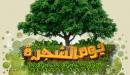 صورة مقال يوم الشجرة