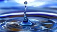 حكمة عن الماء