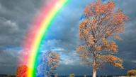 صورة مقال ظاهرة قوس القزح