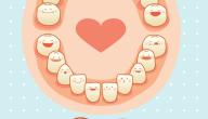 صورة مقال ترتيب ظهور الأسنان عند الأطفال