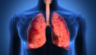 صورة مقال علاج تليف الرئة