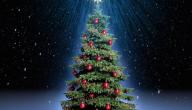 صورة مقال شجرة عيد الميلاد