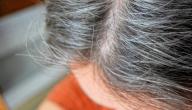 صورة مقال التخلص من الشعر الأبيض بدون صبغة
