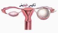 صورة مقال تكيس المبايض والحمل