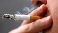 صورة مقال مقال اجتماعي عن التدخين