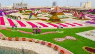 حديقة الزهور في دبي