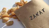 صورة مقال الفرق بين زكاة المال وزكاة الفطر