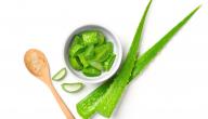 صورة مقال فوائد الصبار للبشرة وكيفية استخدامه