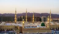 صورة مقال فضل زيارة المدينة المنورة