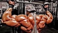صورة مقال أفضل تمارين كمال أجسام للضخامة