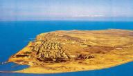 صورة مقال عدد الجزر في الكويت
