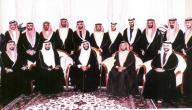 صورة مقال كم عدد أبناء الشيخ زايد