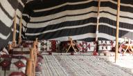 صورة مقال ماذا يطلق على المكان الذي يسكنه البدو