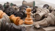 صورة مقال قانون لعبة الشطرنج