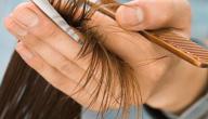 صورة مقال ما علاج تقصف الشعر